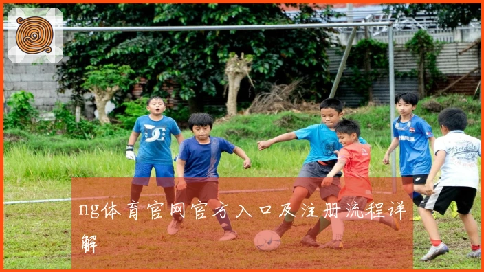 ng体育官网官方入口及注册流程详解