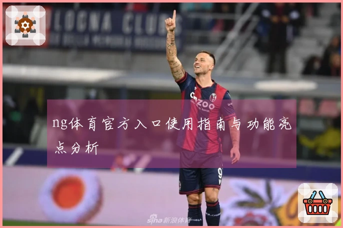 ng体育官方入口使用指南与功能亮点分析