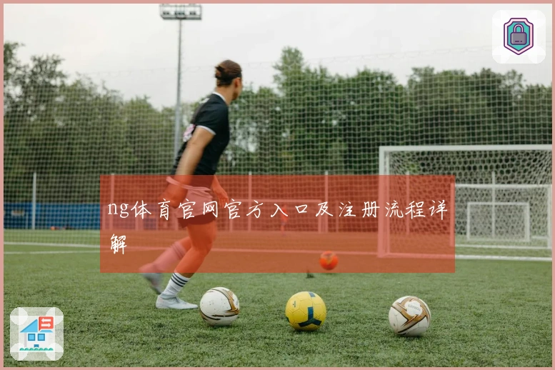 ng体育官网官方入口及注册流程详解