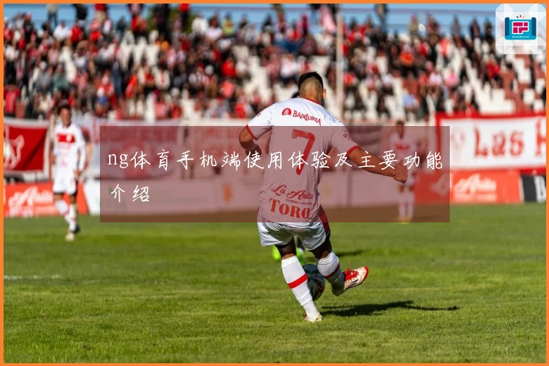 ng体育手机端使用体验及主要功能介绍