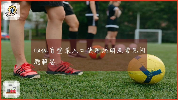 ng体育登录入口使用说明及常见问题解答